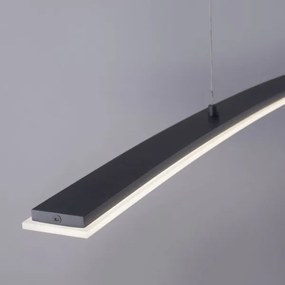 Lustră LED pe cablu dimabilă JANINA LED/27W/230V Paul Neuhaus 2530-13