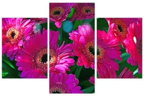 Tablou - floare (90x60 cm)