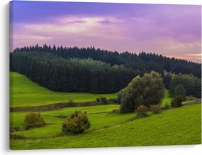 Tablou cu lunca (70x50 cm)