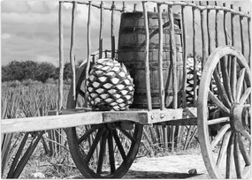 Tablou - Remorcă,alb-negru (70x50 cm)