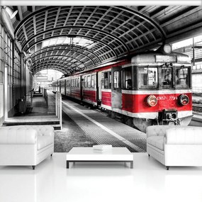 Fototapet - Tren (254x184 cm)
