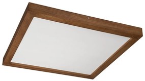 Plafonieră LED dimabilă Brilagi WOODY FRAME LED/50W/230V stejar 60x60 cm IP44 + telecomandă