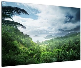 Tablou -Jungla din Seychelles (90x60 cm)