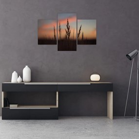 Tablou - Silueta plantei (90x60 cm)