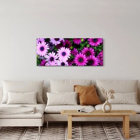 Tablou - Flori (120x50 cm)