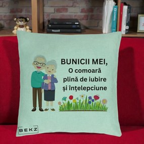Cadou pentru Bunici - Perna Personalizata Bunicii Mei Comoara Cuplu Senior cu Flori Colorat, 40x40 cm, Verde Menta, Husa Detasabila, Perna Inclusa, BEKZ®