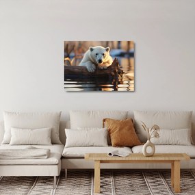 Tablou pe sticlă - Ursul polar (70x50 cm)