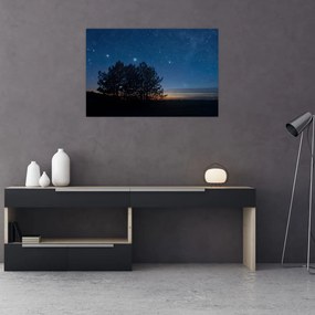 Tablou cu copaci noapte (90x60 cm)