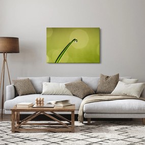Tablou cu picătură de apă pe iarbă (90x60 cm)