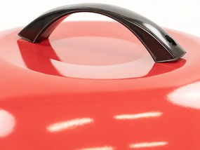 Grătar cu bilă de grădină cu cărbune