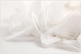 Tablou - Pană (90x60 cm)