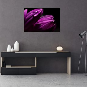 Tablou - Picătura de apă (90x60 cm)