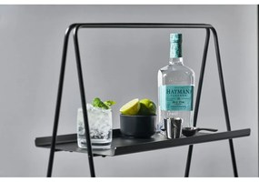 Etajeră cu structură din inox Zone A-Table, negru