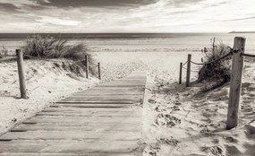 Fototapet - Plaja (254x184 cm)
