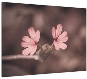 Tablou cu floare roz (70x50 cm)