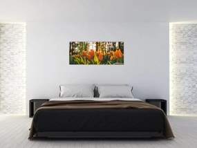 Tablou - florile lalelelor (120x50 cm)