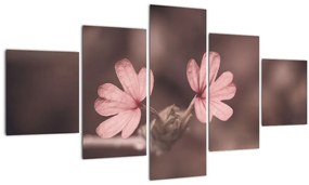 Tablou cu floare roz (125x70 cm), în 40 de alte dimensiuni noi