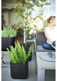 Ghiveci din plastic Cube – Keter