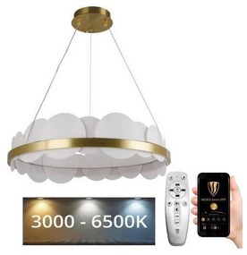 Lustră LED dimabilă pe cablu LED/40W/230V 3000-6500K auriu + telecomandă