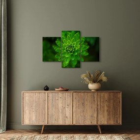 Tablou cu coniferi (90x60 cm)