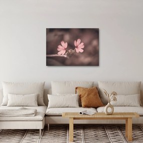 Tablou cu floare roz (70x50 cm)