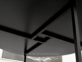 Masă de sufragerie Bird (lemn negru + negru). 1111738