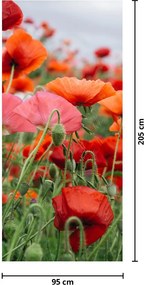 Fototapet pentru ușă - Câmpul cu maci (95x205cm)