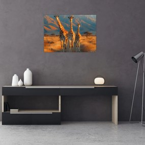 Tablou pe sticlă - Girafe pe pășune (70x50 cm)