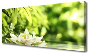 Tablou pe panza canvas Frunze de flori Floral Alb Verde Galben