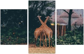 Tablou cu două girafe (90x60 cm)