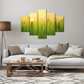 Tablou - Câmp cu cereale (150x105 cm)