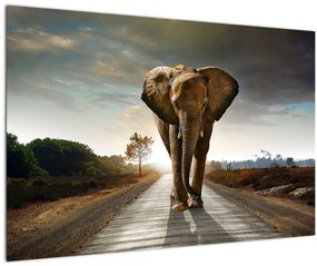 Tablou cu elefant (90x60 cm)