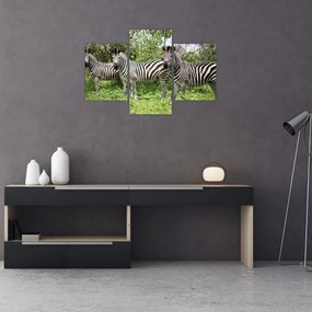 Tablou cu zebre (90x60 cm)