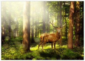 Tablou pe sticlă cu cerbul în pădure (70x50 cm)