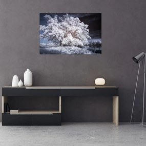 Tablou - Albă ca Zăpada Copac (90x60 cm)
