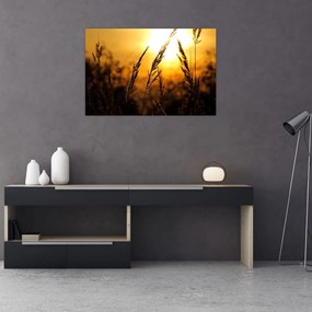 Tablou - Apus de soare (90x60 cm)