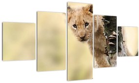Tablou cu pui de leu (125x70 cm), în 40 de alte dimensiuni noi