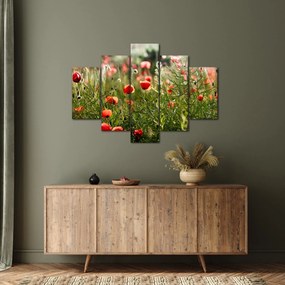 Tablou cu maci (150x105 cm)