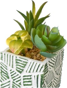 Plante artificiale 3 buc. (înălțime 12 cm) Cactus – Casa Selección