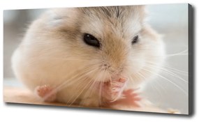 Pictură pe pânză Hamster