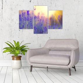 Tablou - Levănțică (90x60 cm)