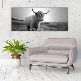 Tablou - Vacă scoțiană,alb-negru (120x50 cm)