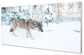 Tablouri acrilice pădure de iarnă Wolf