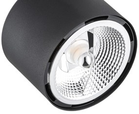 Aplica de perete/tavan cu spot ajustabil CLEAVLAND neagra
