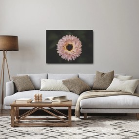 Tablou cu floare portocalie (70x50 cm)