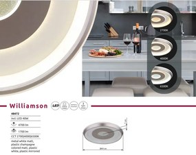 Plafoniera LED CCT WILLIAMSON 49cm
