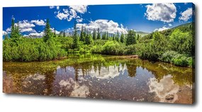 Pictură pe pânză Lacul în pădure