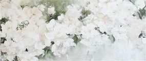 Tablou - Abstracție de Flori Albe (120x50 cm)