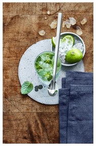 Set de linguri lungi gri din oțel inoxidabil 6 buc. Nuova – WMF