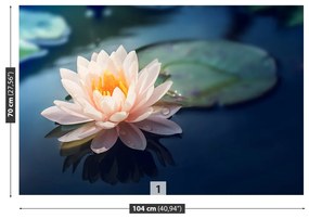 Fototapet Lotus Flower Pond